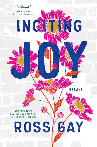 Bright pink daisies with mustard yellow centers on burnt orange stems over a gray bricked background. Purple font of book title, "Inciting Joy: Essays" by best-selling author of The Book of Delights, Ross Gay.